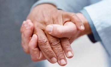 Talleres cortos, gratuitos y certificados