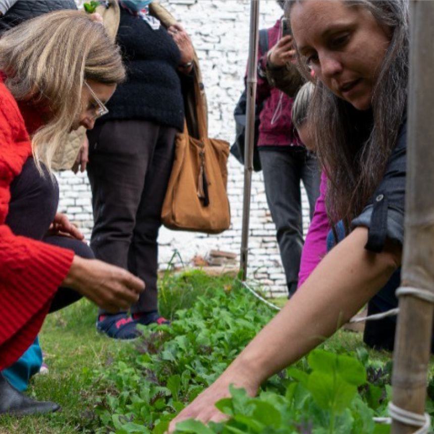 Huerta en Casa: continúan los talleres y charlas sobre huerta agroecológica