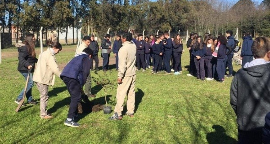 Desarrollaron la Segunda Jornada Ambiental de la Escuela "Medalla Milagrosa"