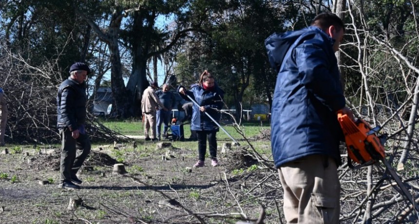 Avanza la eliminación de Acacio Negro y Ligustro en la Reserva Municipal Quinta Cigordia