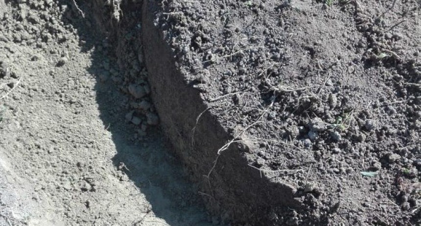 Nuevo hallazgo paleontológico en Luján