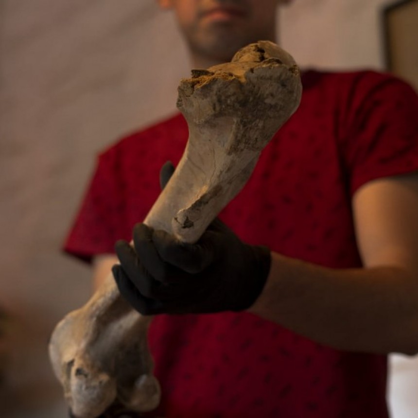 Casa Ameghino: se realizarán las Jornadas de Difusión de Paleontología y Arqueología