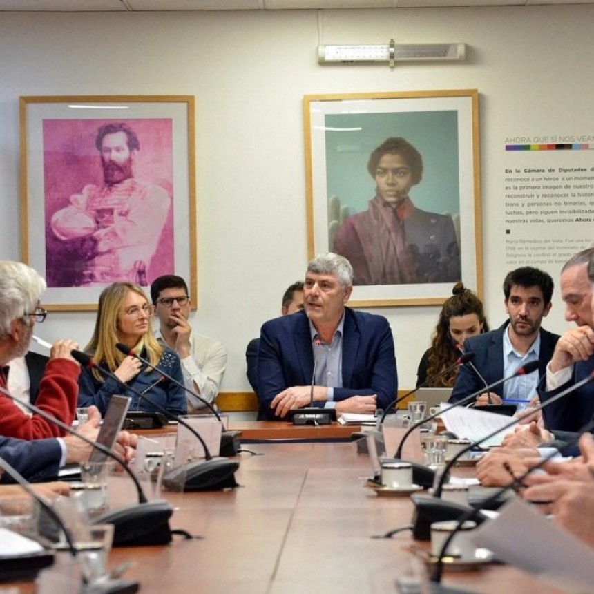 LEY DE HUMEDALES: EXPERTOS CUESTIONARON EL PROYECTO DEL OFICIALISMO Y ASEGURARON QUE NO SOLUCIONA LOS PROBLEMAS DE INCENDIOS
