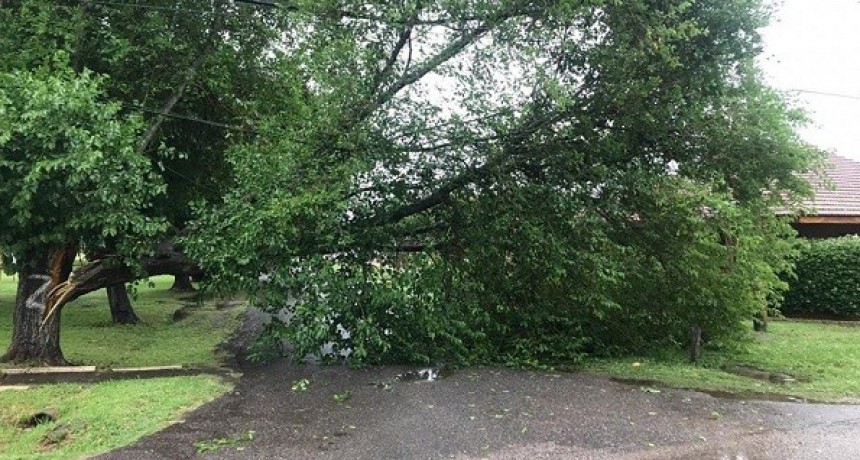 La tormenta dejó secuelas en distintos puntos de Luján